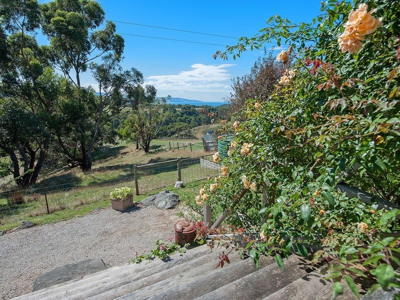 570 Great Ocean Road, Apollo Bay VIC 3233