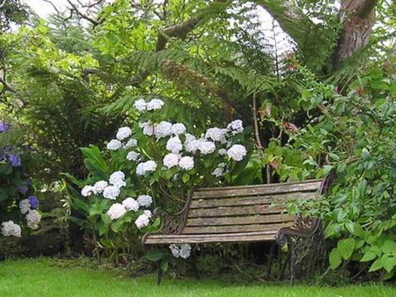 445 Killala Road, Apollo Bay VIC 3233