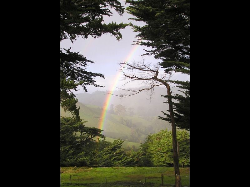 445 Killala Road, Apollo Bay VIC 3233