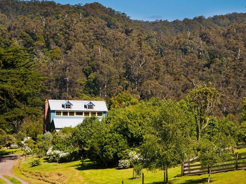 445 Killala Road, Apollo Bay VIC 3233