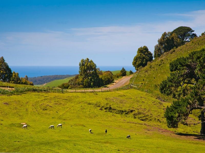 445 Killala Road, Apollo Bay VIC 3233