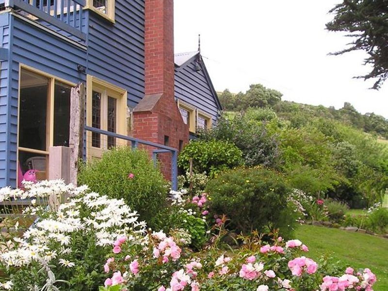 445 Killala Road, Apollo Bay VIC 3233