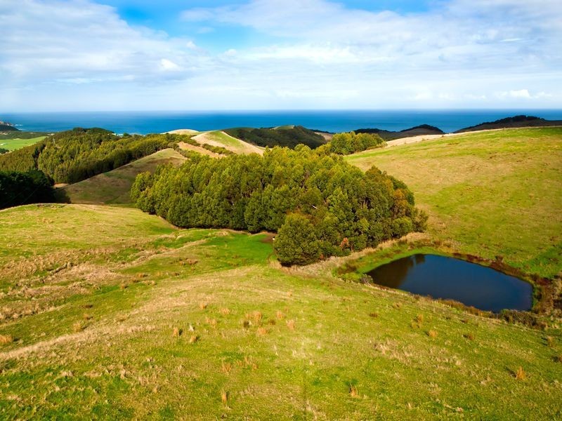 575 Blue Johanna Road, Johanna VIC 3238