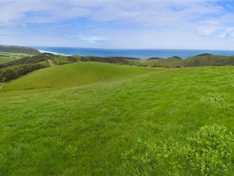 555 Blue Johanna Road (Lot 3), Johanna VIC 3238