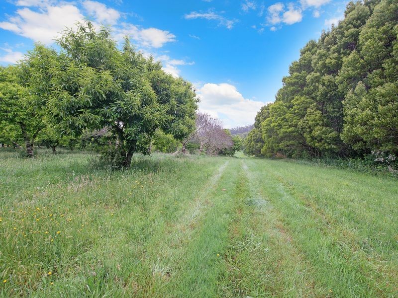 4275 Colac-Lavers Hill Road, Weeaproinah VIC 3237
