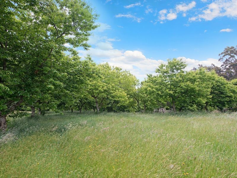 4275 Colac-Lavers Hill Road, Weeaproinah VIC 3237