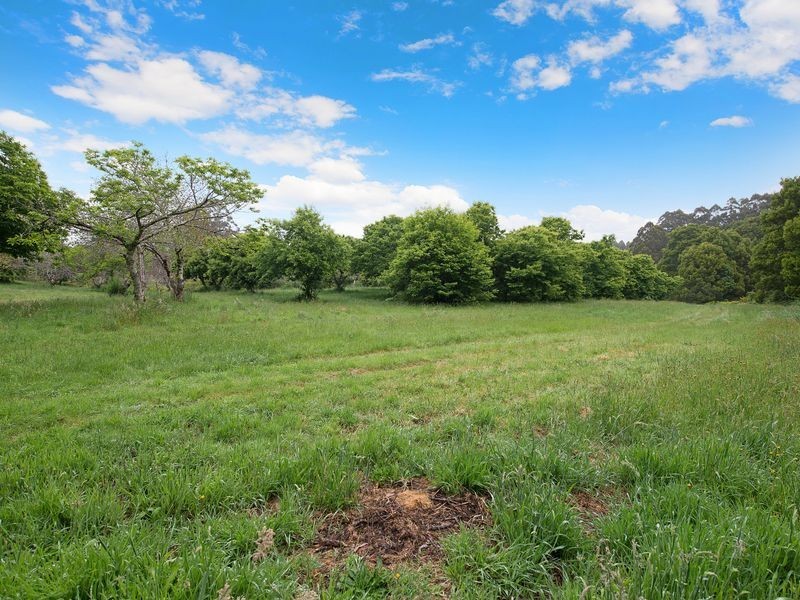 4275 Colac-Lavers Hill Road, Weeaproinah VIC 3237