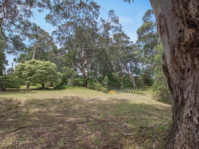 36 Old Coach Road, Skenes Creek VIC 3233