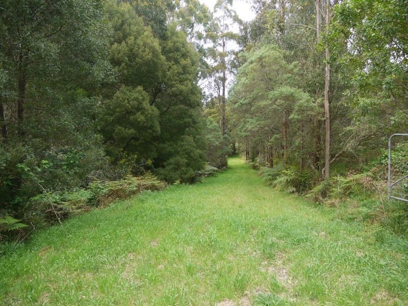 56 Broughtons Access Road (Lot 1 & 2), Apollo Bay VIC 3233