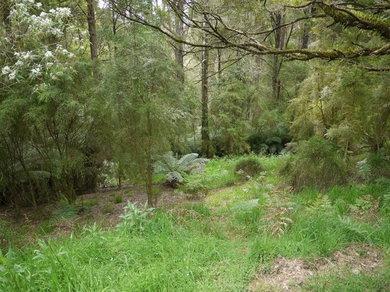 56 Broughtons Access Road (Lot 1 & 2), Apollo Bay VIC 3233