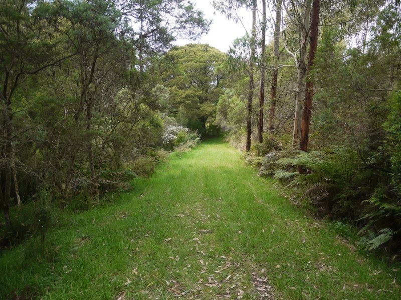 56 Broughtons Access Road (Lot 1 & 2), Apollo Bay VIC 3233
