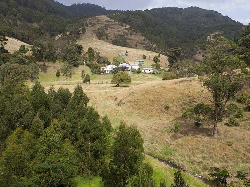 Loch Ard C Wild Dog Road, Apollo Bay VIC 3233