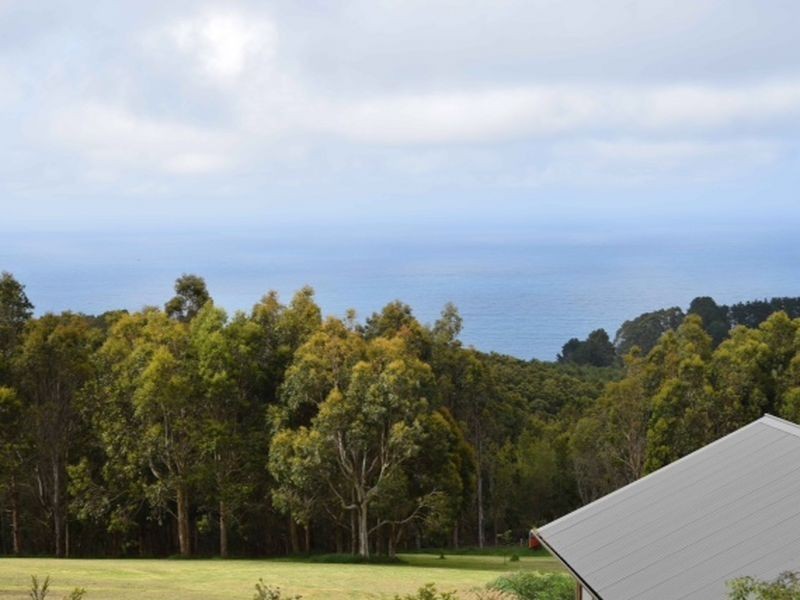 40 Kenneadys Road, Wongarra VIC 3221