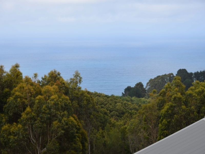 40 Kenneadys Road, Wongarra VIC 3221