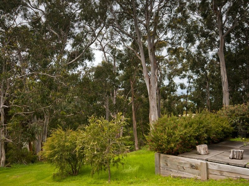 54 Ridge Drive, Kennett River VIC 3221