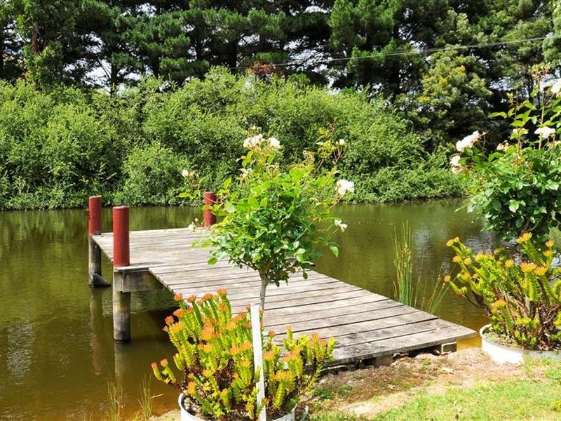 260 Wild Dog Road, Apollo Bay VIC 3233