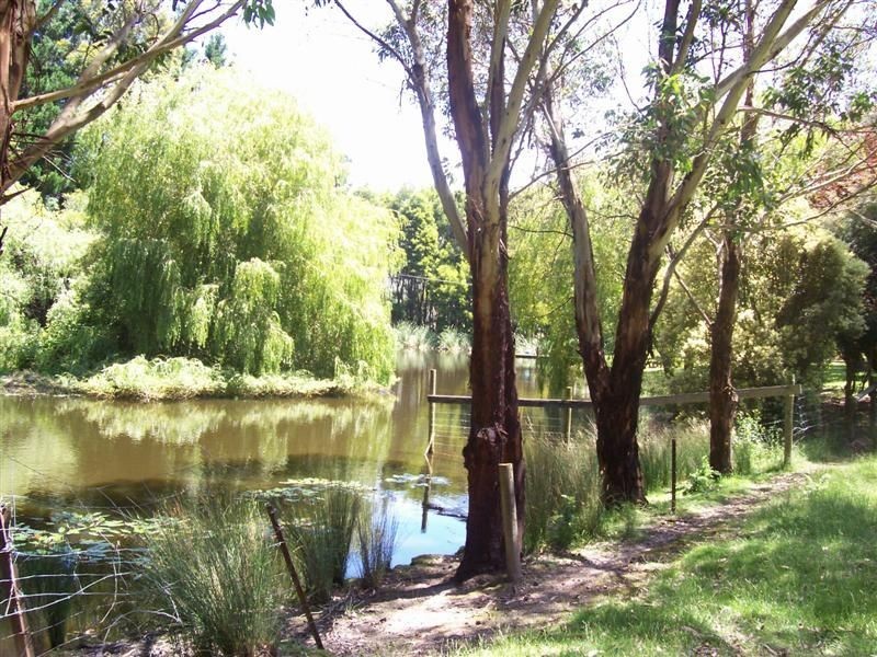 260 Wild Dog Road, Apollo Bay VIC 3233