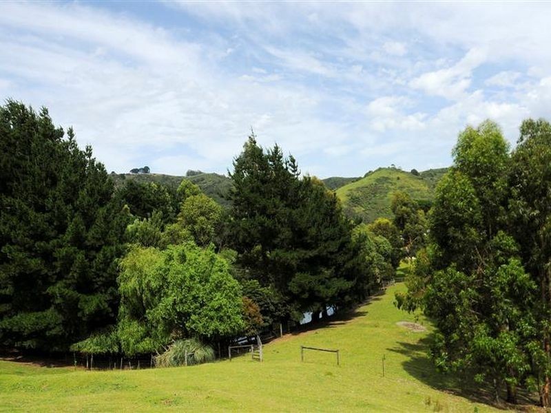 260 Wild Dog Road, Apollo Bay VIC 3233