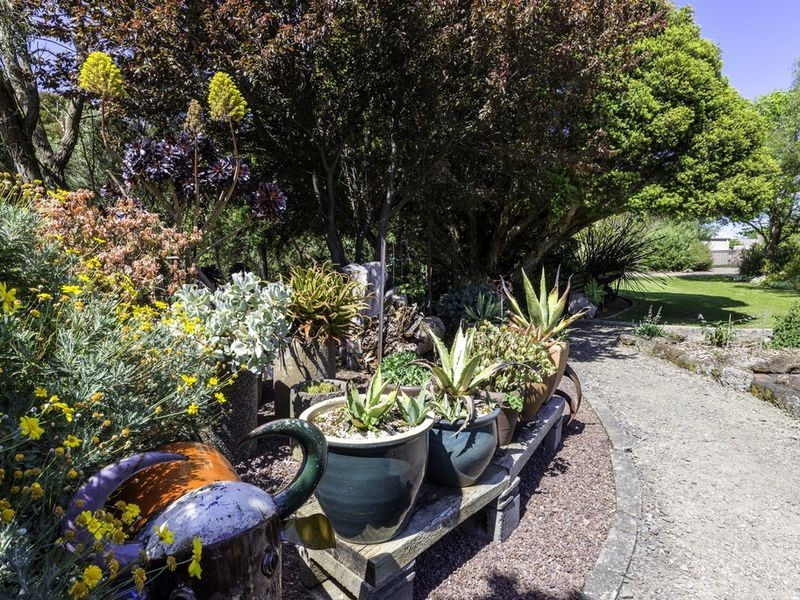 15 Murray Street, Apollo Bay VIC 3233
