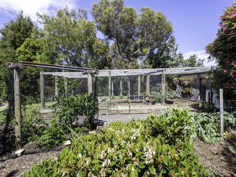 15 Murray Street, Apollo Bay VIC 3233