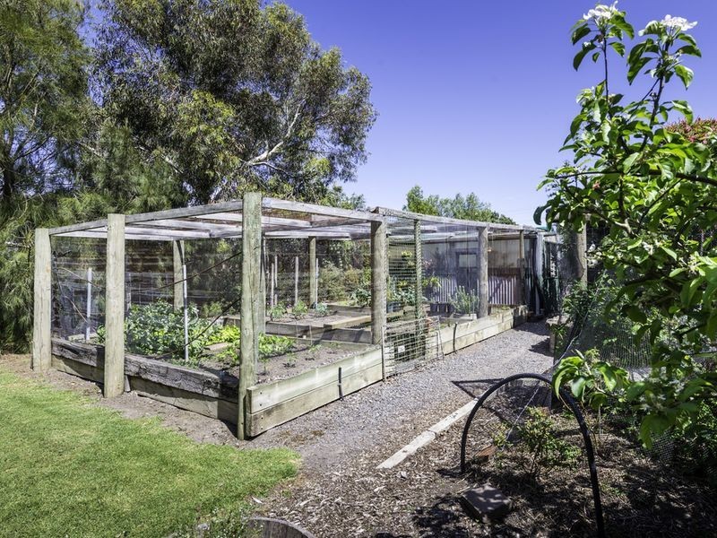 15 Murray Street, Apollo Bay VIC 3233