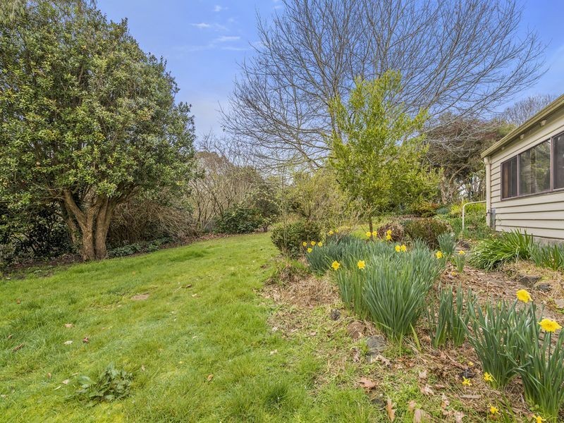 8 Blundy Street, Forrest VIC 3236