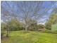 8 Blundy Street, Forrest VIC 3236