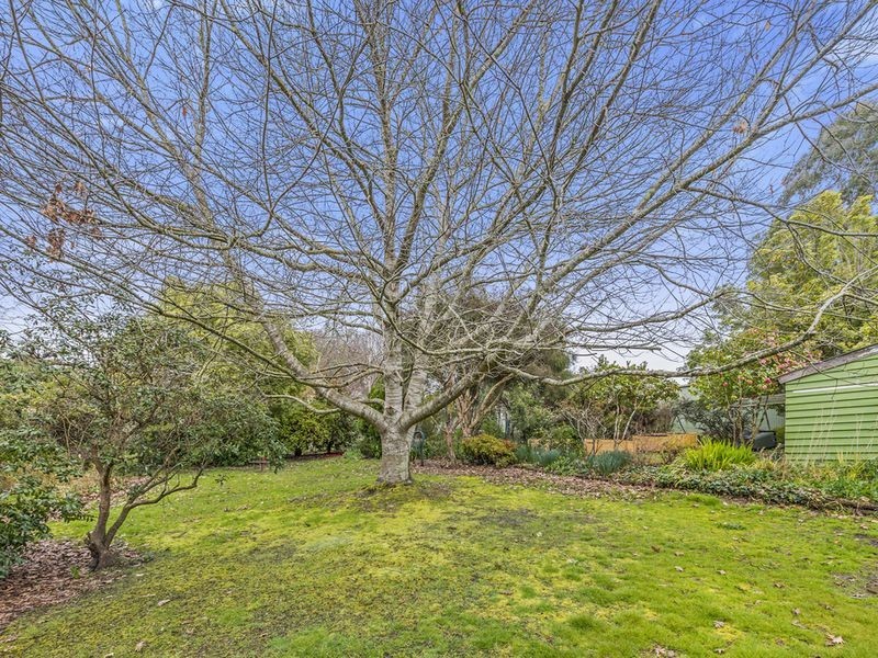 8 Blundy Street, Forrest VIC 3236