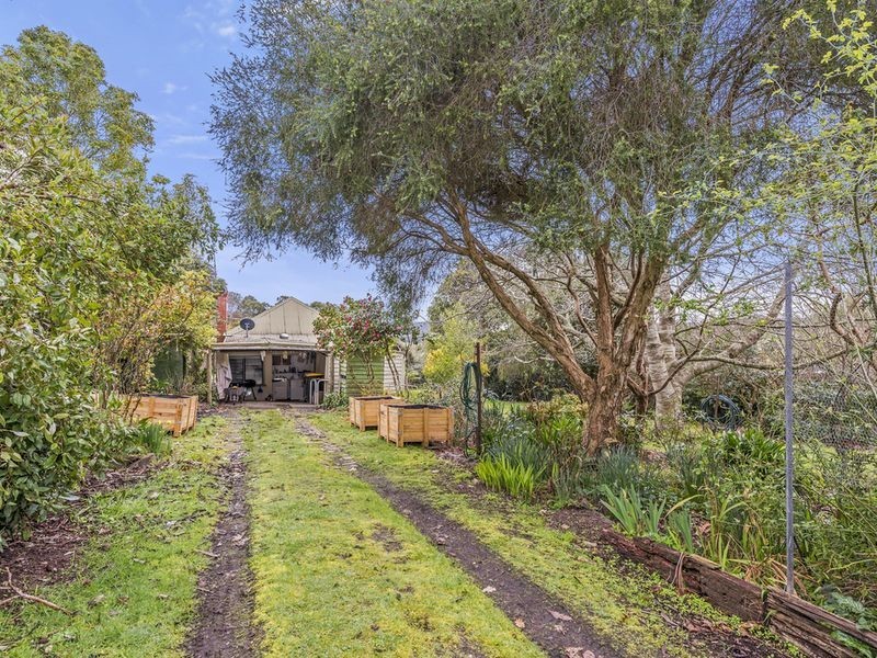 8 Blundy Street, Forrest VIC 3236