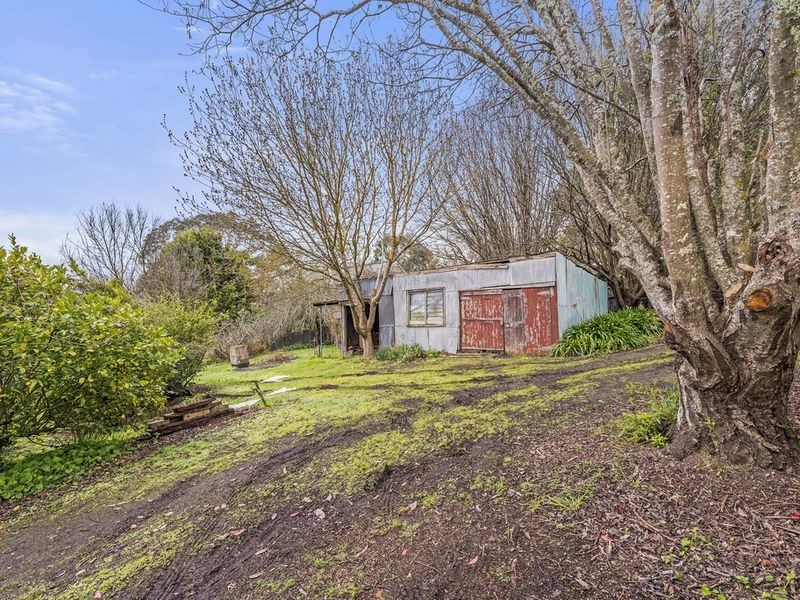 8 Blundy Street, Forrest VIC 3236