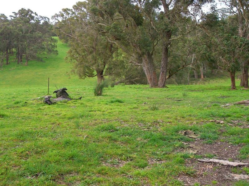 2705 Colac Forrest Road (Lot 1), Forrest VIC 3236