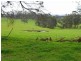 2705 Colac Forrest Road (Lot 1), Forrest VIC 3236