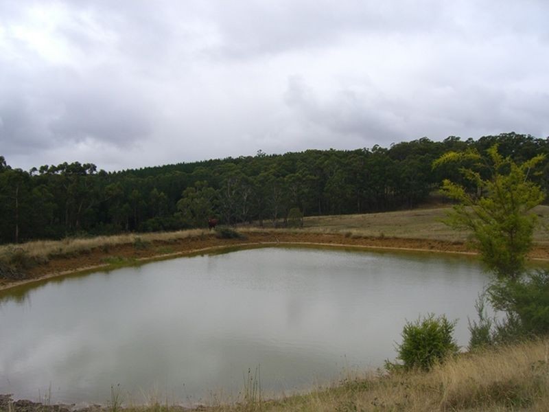 353 Kawarren East Road, Kawarren VIC 3249