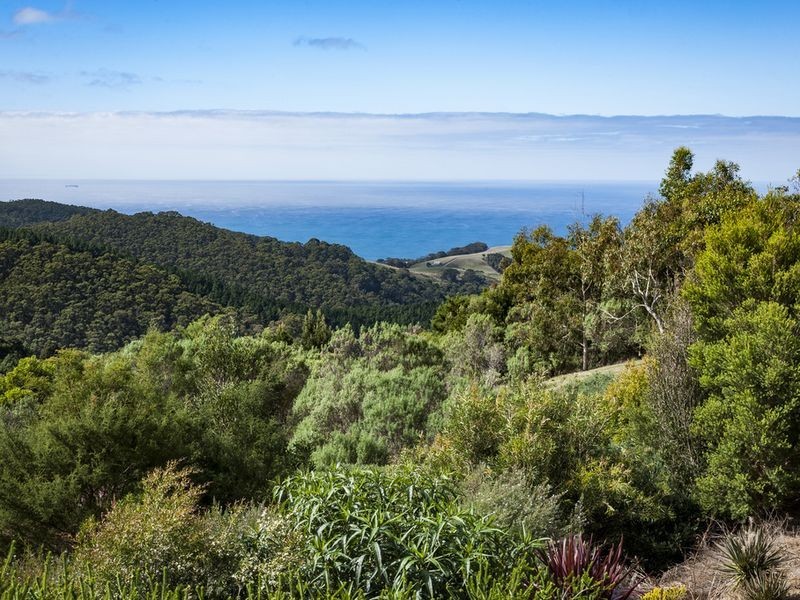 105 Morris Access, Apollo Bay VIC 3233