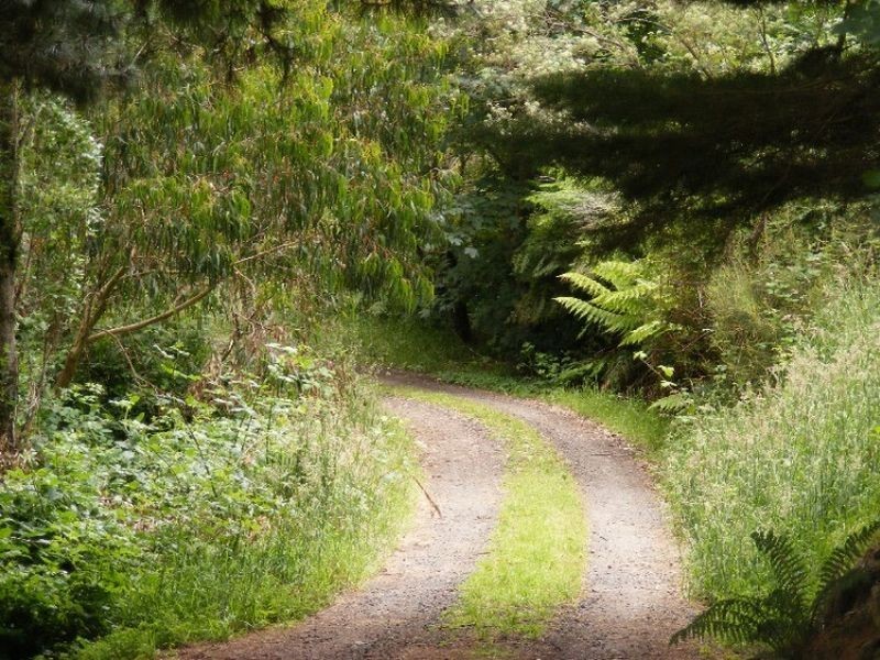 140 Biddles Road, Apollo Bay VIC 3233