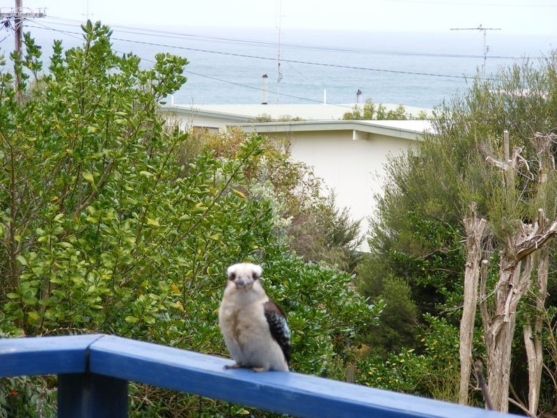 9 Otway Avenue, Skenes Creek VIC 3233