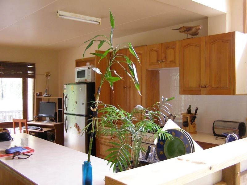 83 Grant Street, Forrest VIC 3236