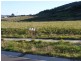 Lot 58 Overview Crescent, Apollo Bay VIC 3233