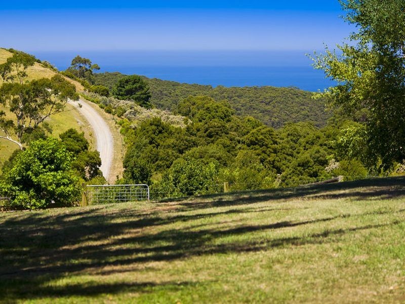 560 Skenes Creek Road, Apollo Bay VIC 3233