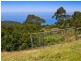 560 Skenes Creek Road, Apollo Bay VIC 3233