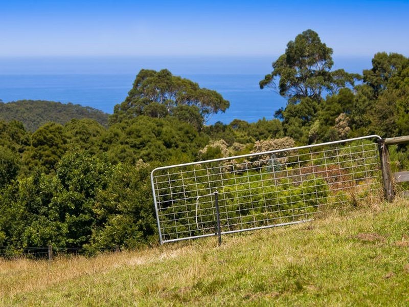 560 Skenes Creek Road, Apollo Bay VIC 3233