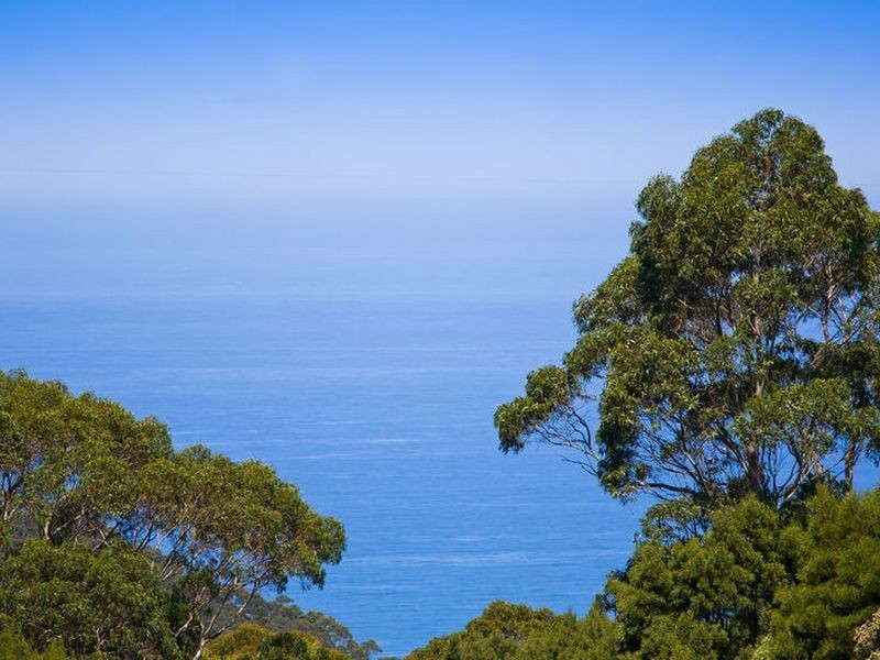 560 Skenes Creek Road, Apollo Bay VIC 3233