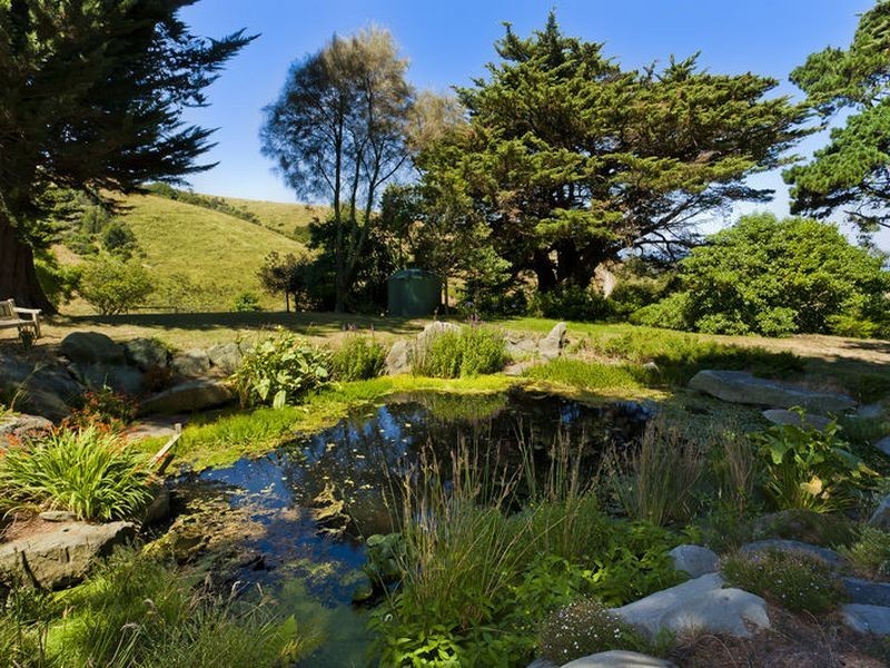 560 Skenes Creek Road, Apollo Bay VIC 3233