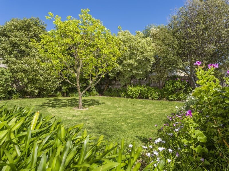 46 Barongarook Drive, Clifton Springs VIC 3222