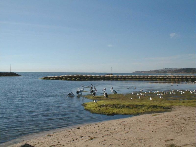 1-3/98 Beacon Point Road, Clifton Springs VIC 3222