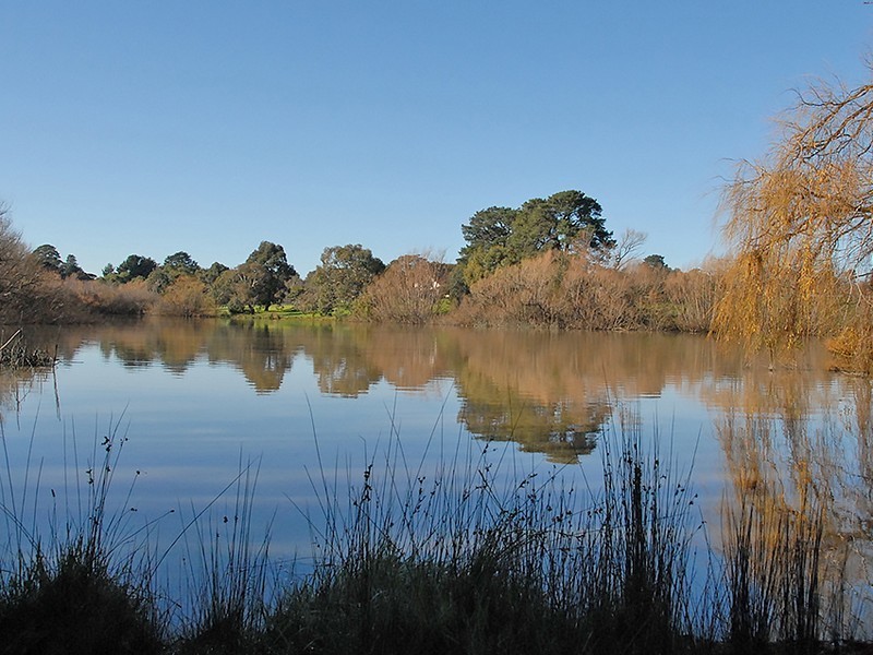 Lot 3 Bridge Street, Drysdale VIC 3222