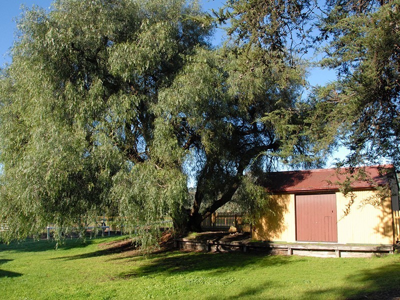 Lot 32 Bridge Street, Drysdale VIC 3222