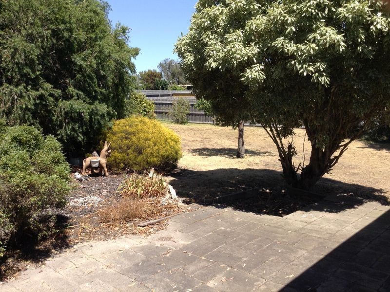 22 Coral Court, Clifton Springs VIC 3222