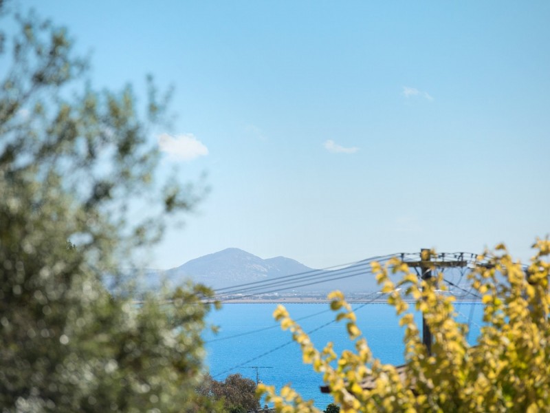 19 Carapooka Avenue, Clifton Springs VIC 3222