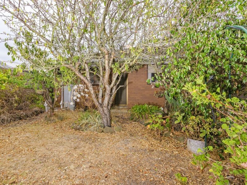 19 Jetty Road, Clifton Springs VIC 3222